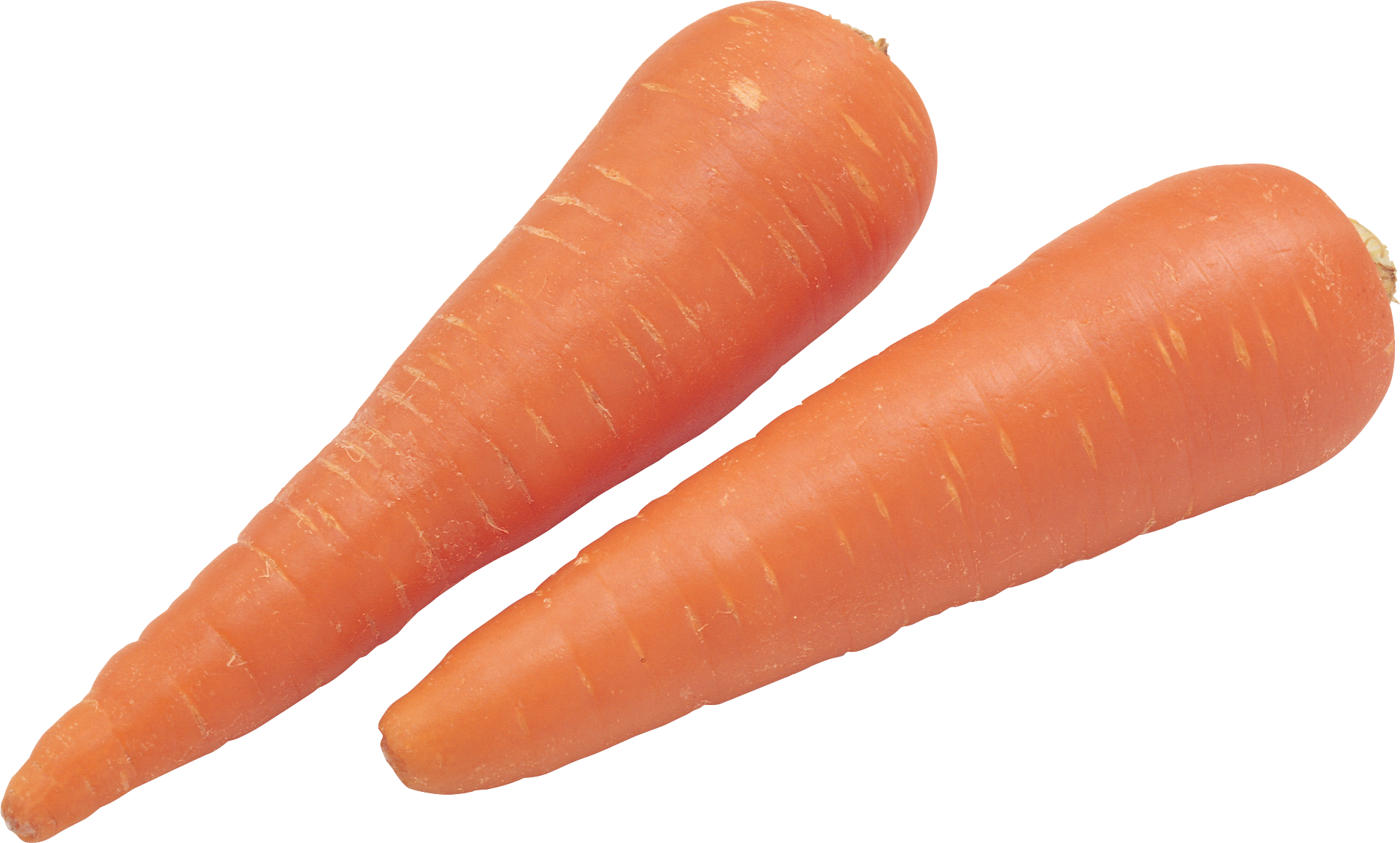 Carrot PNG image free download