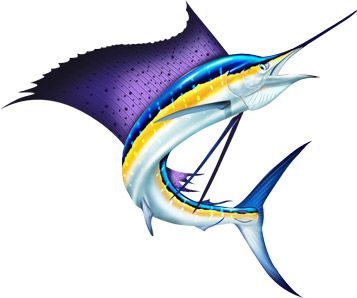 Photoshop and Illustrations