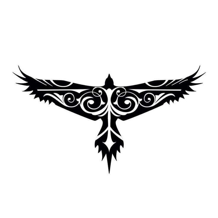 Hawk Tattoo | David Hale, Tattoos ...