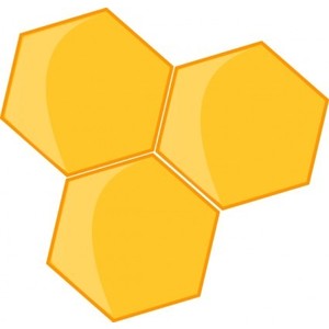 Queen Bee / Bee Hives / Bee misc. - Polyvore