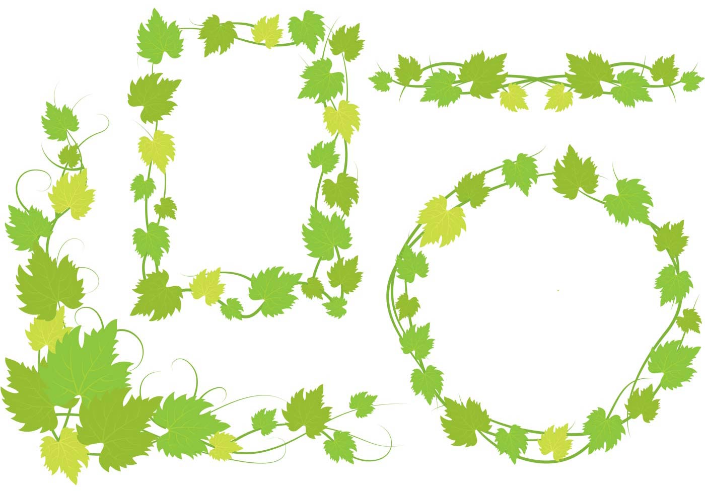 Vine Vector | An Images Hub