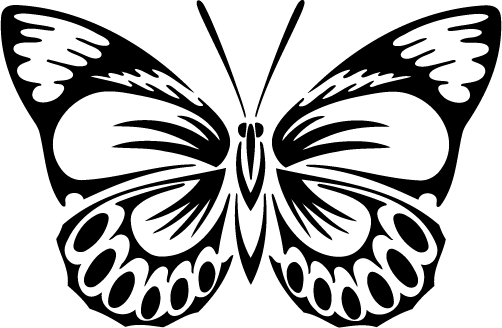 1000+ images about Bug & Butterfly | Wings, Dragon ...