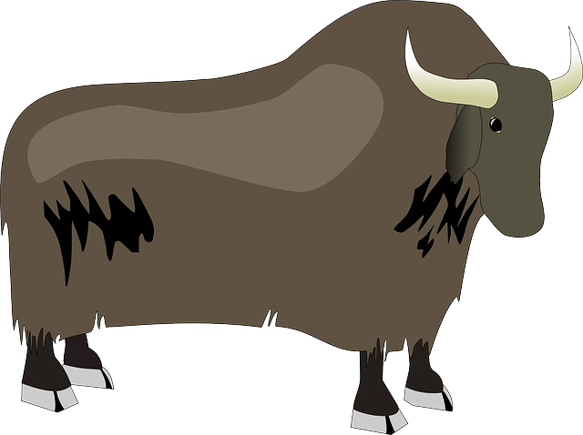 BISON, OX, BULLOCK, YAK, ANIMAL, COW, CATTLE, LONG - Public Domain ...