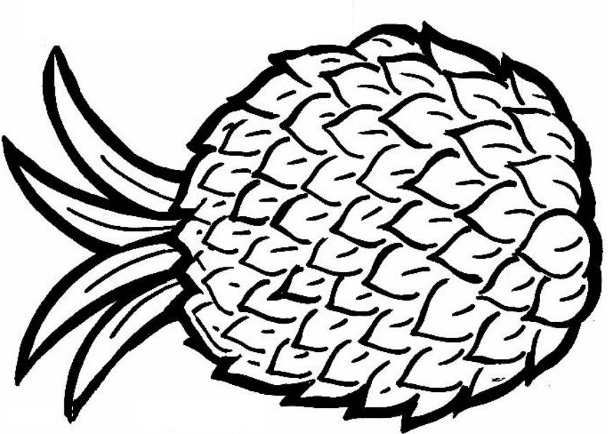 Pineapple black and white clipart