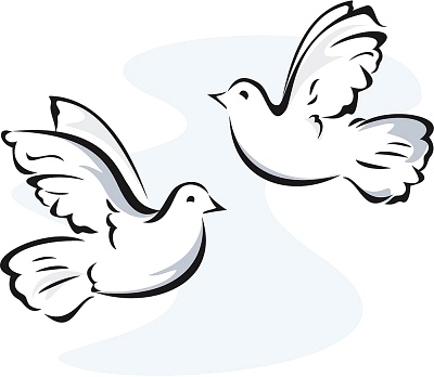 White Dove Free Clipart