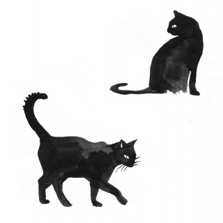 Hand Drawn Black Cats Set Vector Animals Characters - Litle Pups ...