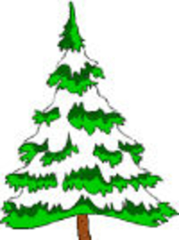 Winter Pine Trees Clipart