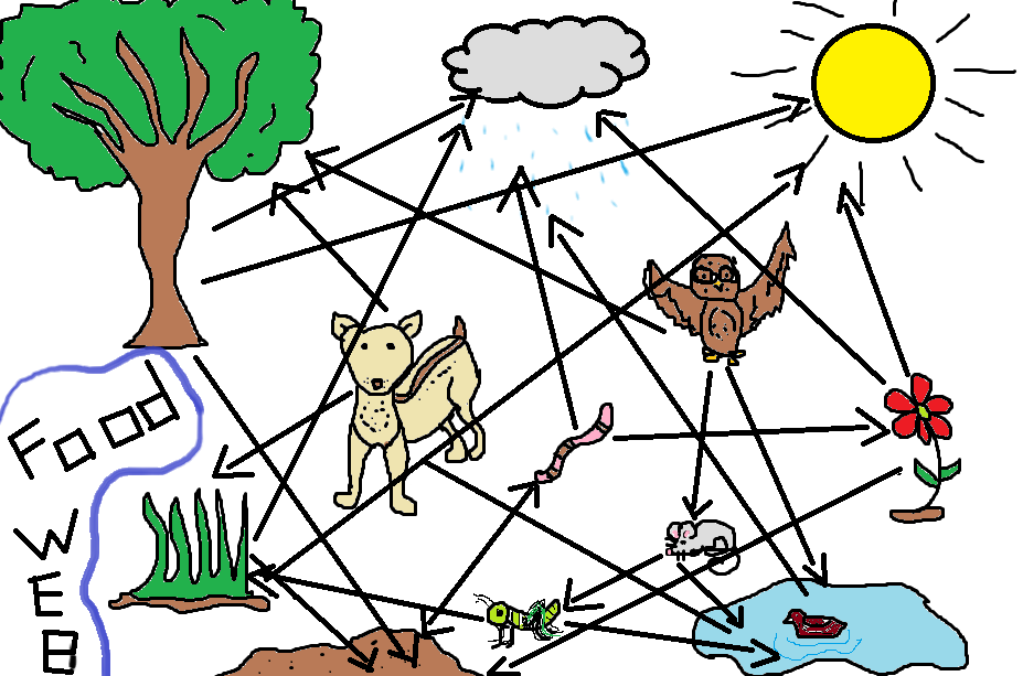 Food chain sun clipart
