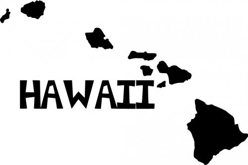 Hawaii Island Wall Text - Custom Wall Graphics