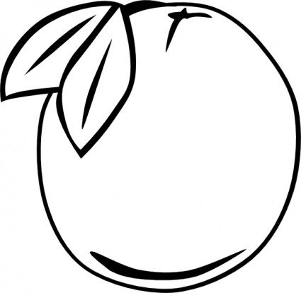 Orange Outline Fruit clip art Vector clip art - Free vector for ...