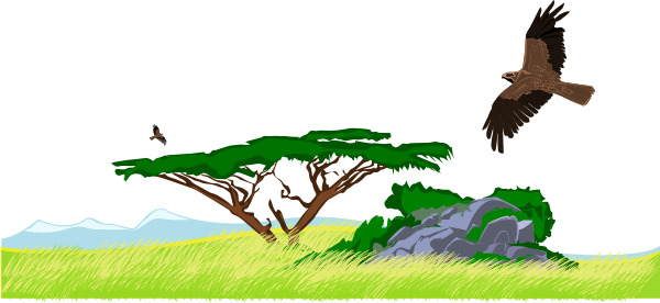 Jungle clip art - vector clip art online, royalty free & public domain