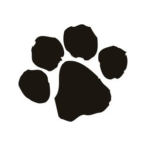 Paw Print Dog Paw Print Materials More Tiger Paw Print