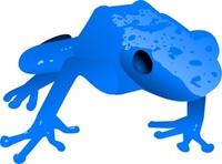 Poison Dart Frog Vector - Download 221 Vectors (Page 1)