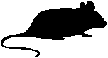 Frame accessed from Introduction page of rat website