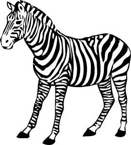 Zebra clip art - vector clip art online, royalty free & public domain