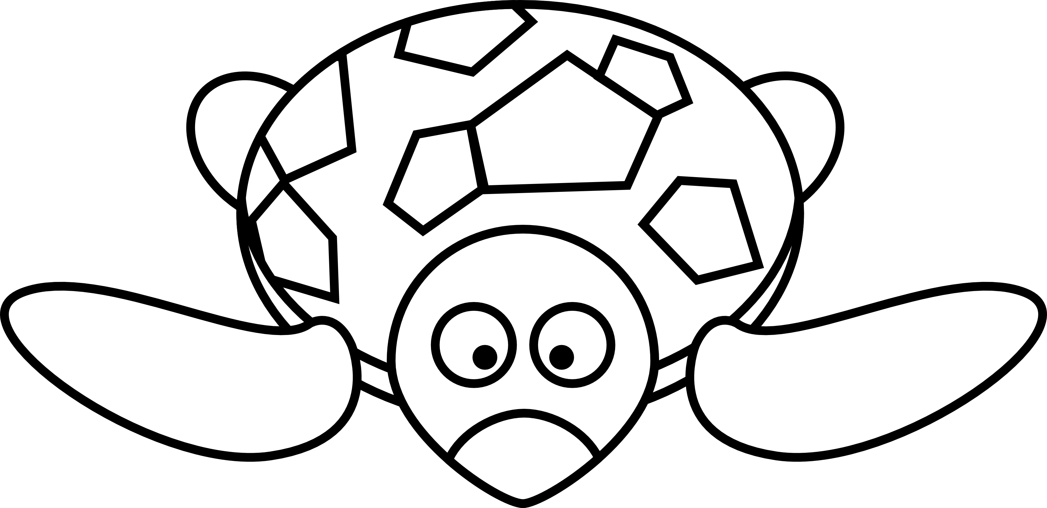 Clip art turtle