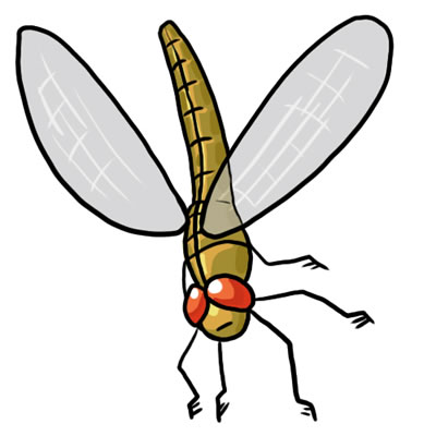 FREE Dragonfly Clip Art 16