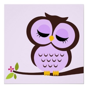 Cartoon Owl