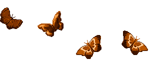 busy-butterfly-animated-design.gif