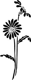 Free Daisy Clipart - Public Domain Flower clip art, images and ...