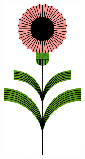 Pink Flower - Lan Truong / Illustration + Graphic Design