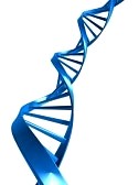 Helix Stock Photos, Helix Vector Art, Helix Images | StockPodium