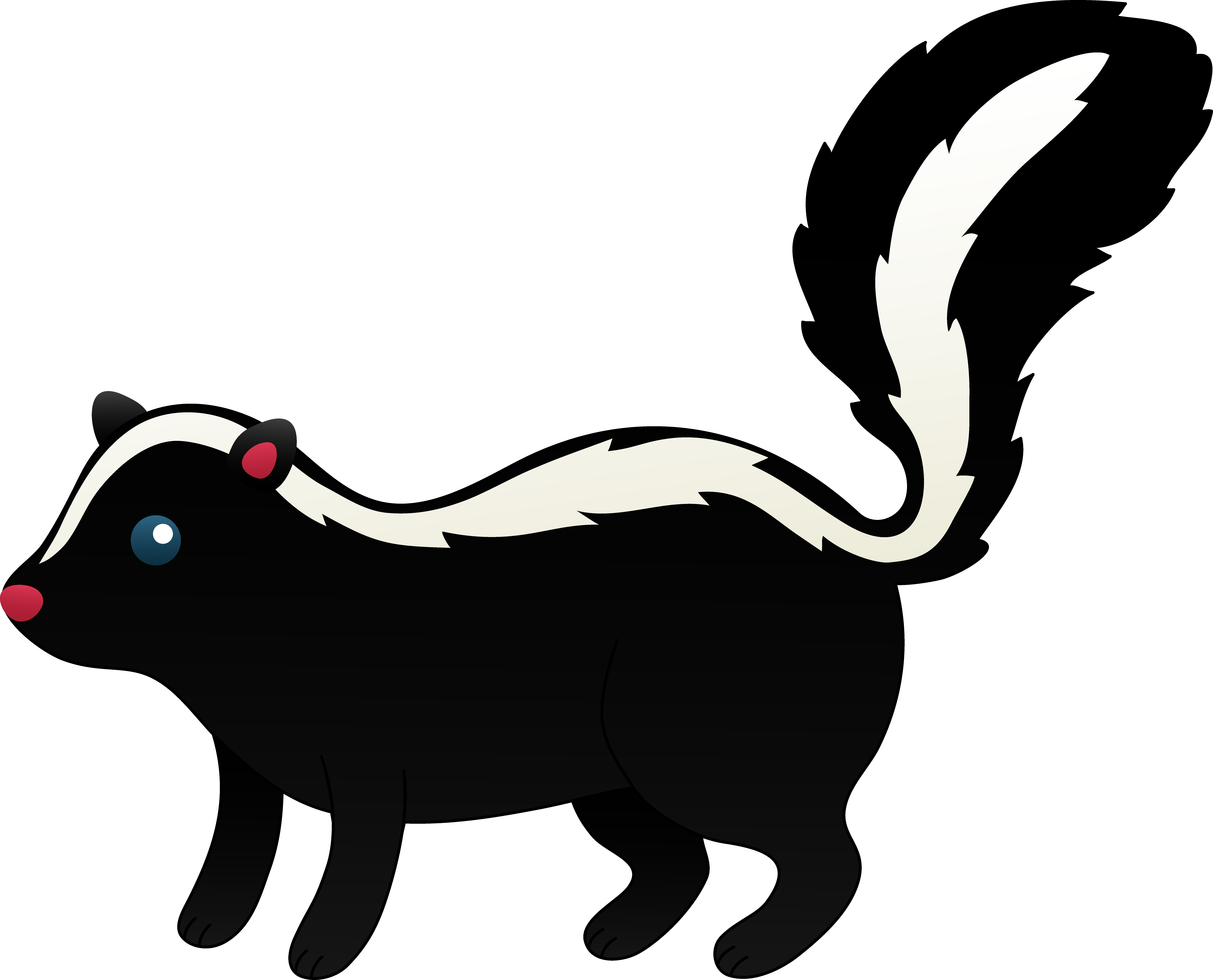 Skunk Cartoon Images