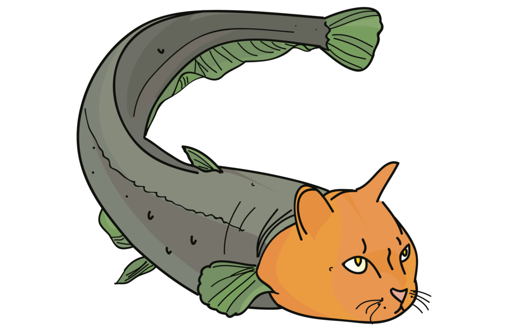 Catfish | Free Download Clip Art | Free Clip Art