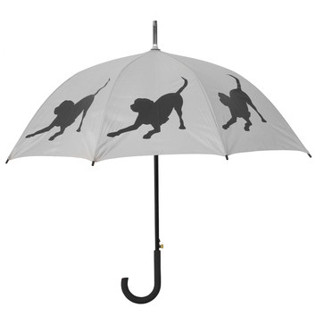 The-San-Francisco-Umbrella- ...