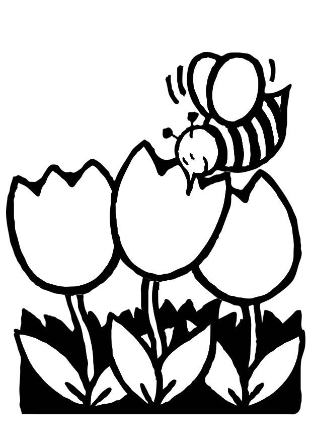 Honey Bee Coloring Page - AZ Coloring Pages