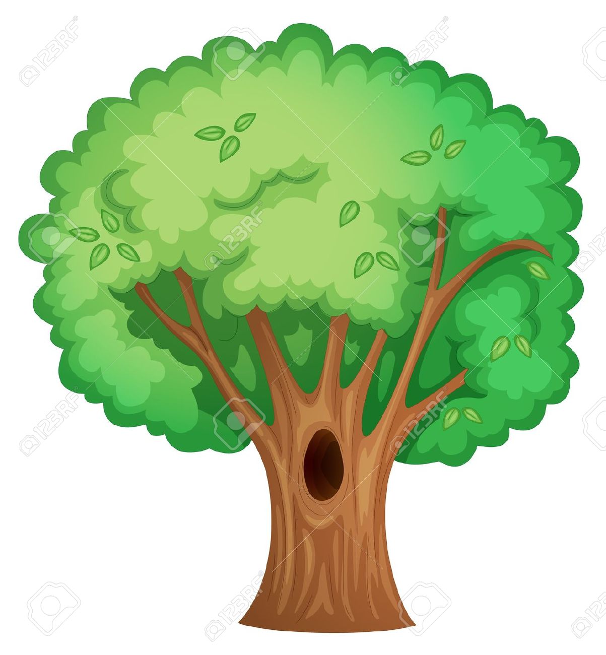 Hollow Hole In Tree Trunk