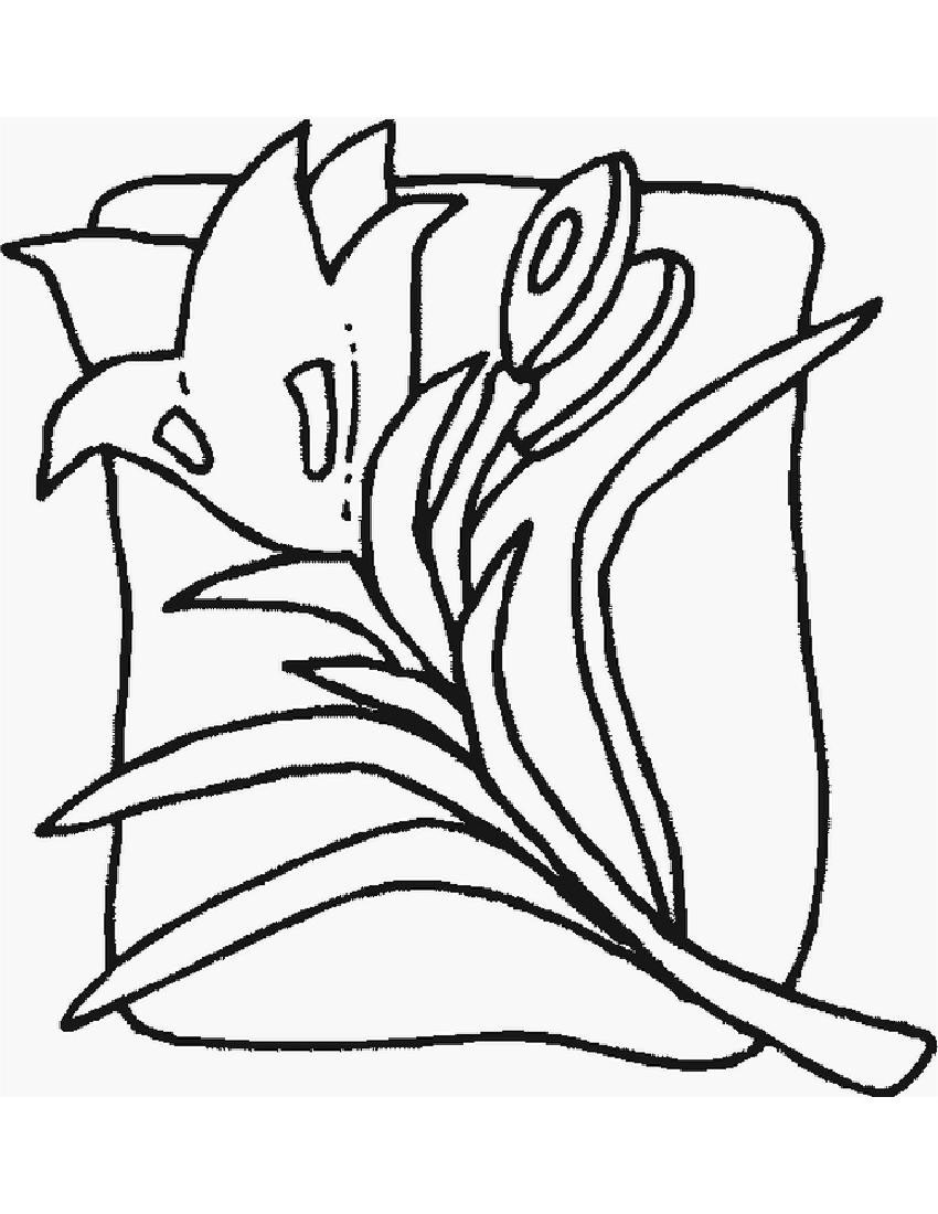 Greeting Card of Flower to Color | Coloring Pages
