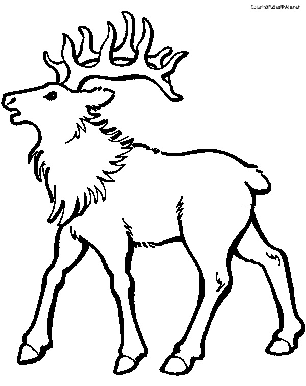 SÃ©lection de coloriage caribou Ã  imprimer sur LaGuerche.com - Page 4