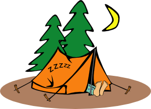 1194984606680179495camper_ ...
