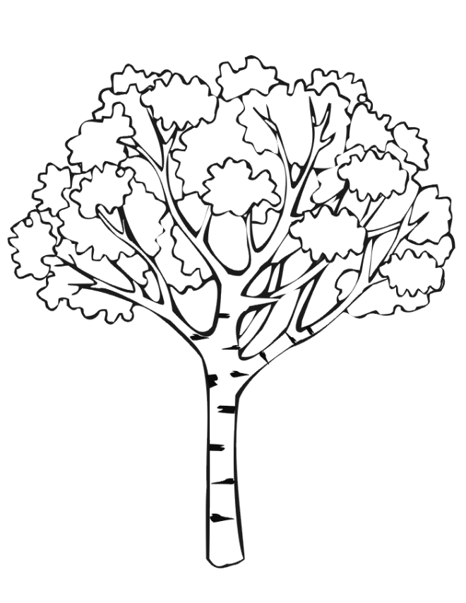 Nature | Coloring - Part 26