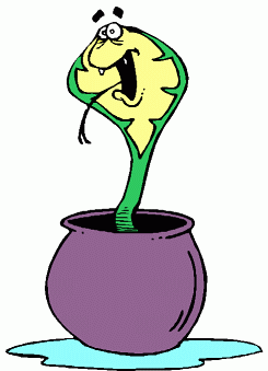 Hasslefreeclipart.com» Cartoon Clip Art» Animals» Completely free ...