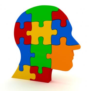 Just For Youth... Is Intelligence the Most Important Factor for ...
