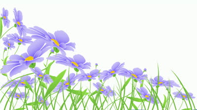 Cartoon of the evolution of a flower - 1829846 | Shutterstock Footage