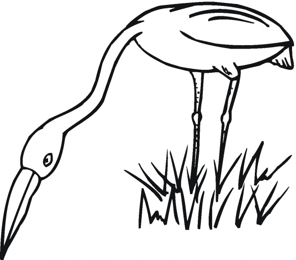 Egret outline coloring page | Super Coloring - ClipArt Best - ClipArt Best