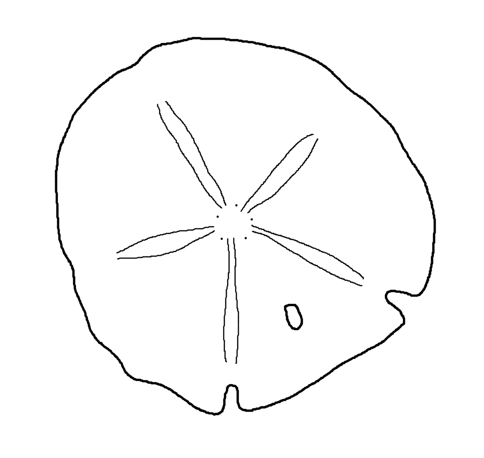 sea shell Colouring Pages (page 3)