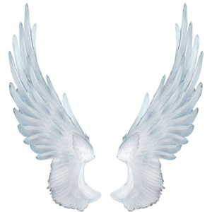 Angel Wings - Polyvore