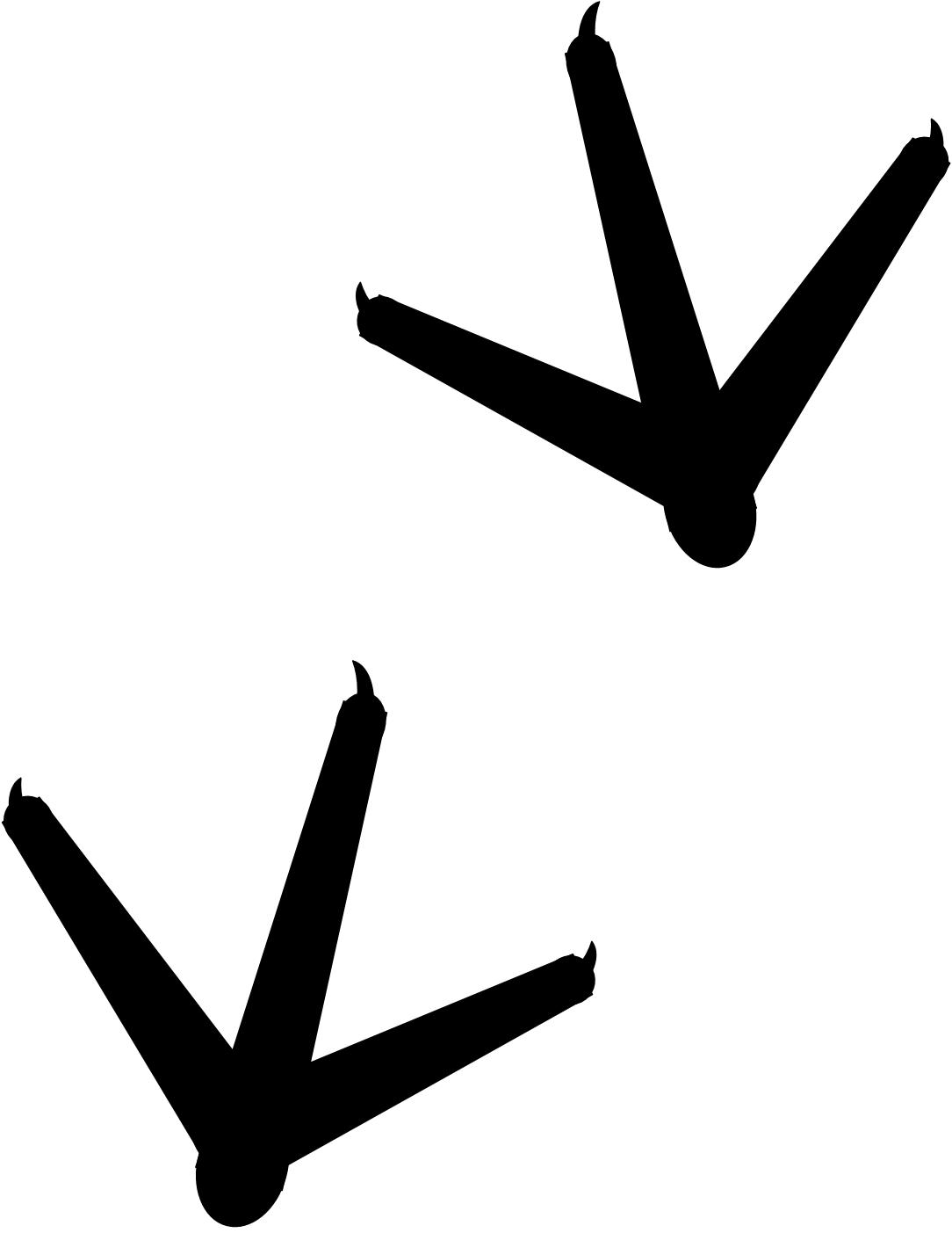 Printable Footprints | Free Download Clip Art | Free Clip Art | on ...