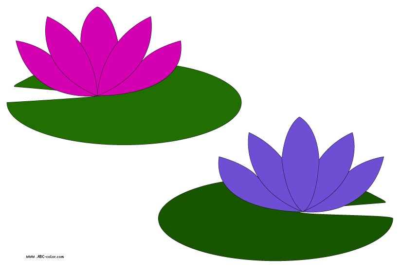 Water Lily Border Clipart
