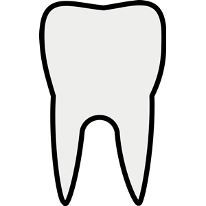 Tooth Line Art clipart, cliparts of Tooth Line Art free download ...