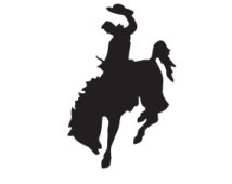 Popular items for rider decal on Etsy