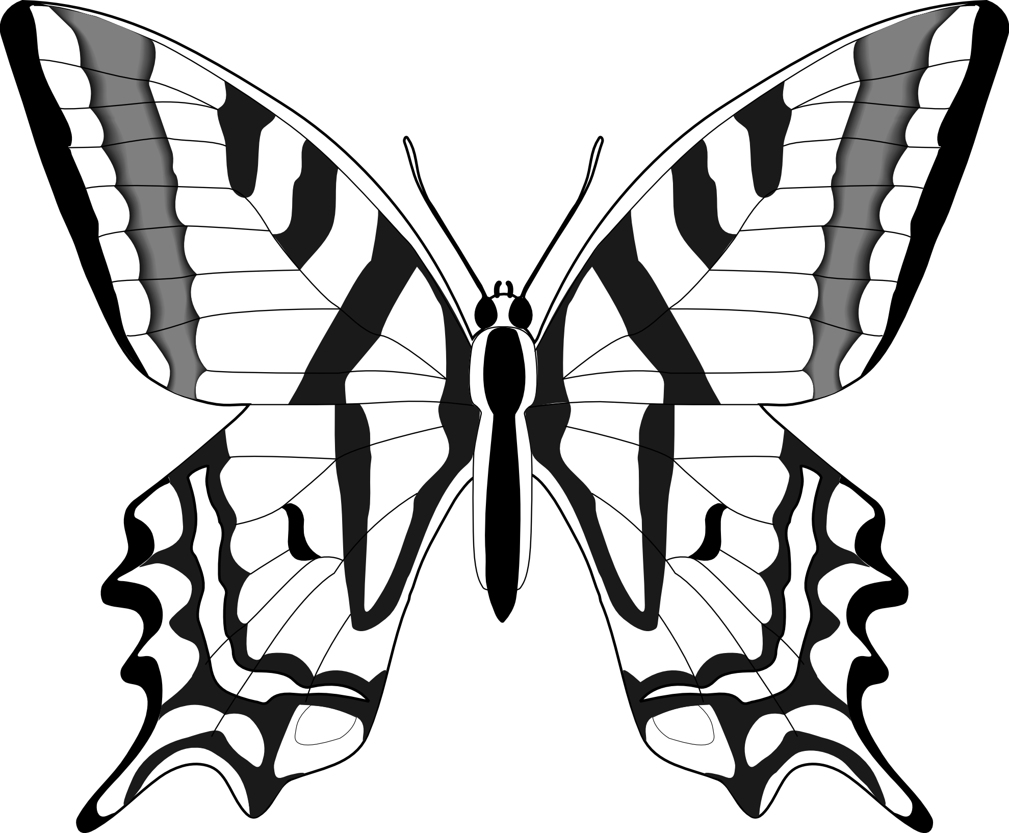 Simple Butterflies Drawings