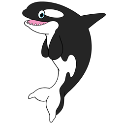 Cartoon Orca Drawing Lesson