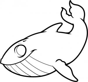 Animals - How to Draw a Whale for Kids