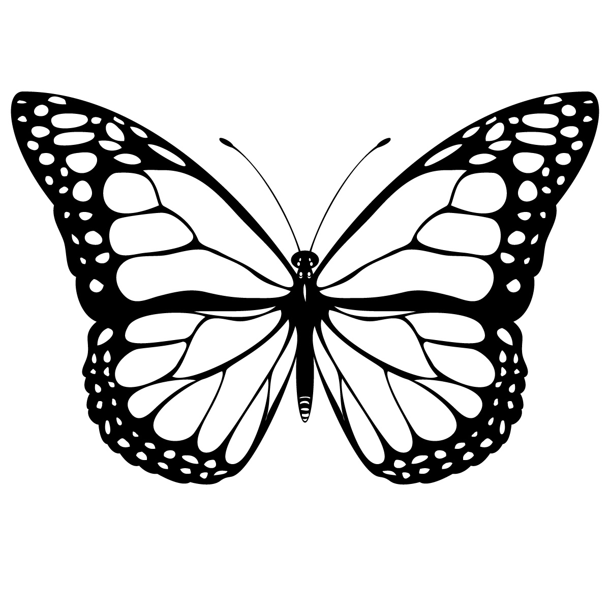 Butterfly Drawing Template