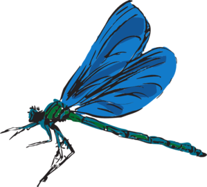 Dragonfly Art Clip art - Animal - Download vector clip art online